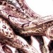 You can lay your worries to rest now as I’m happy to inform you all that Killer Instinct: Season One composer Mick Gordon will be returning to compose the music […]